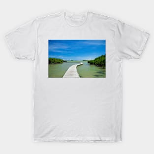 Road On Lake T-Shirt